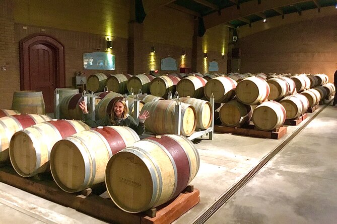 From Valparaiso:Taste 10 Types of Wine in 3 Casablanca’s Vineyard - Hotel pickup makes the $200 price easier to justify