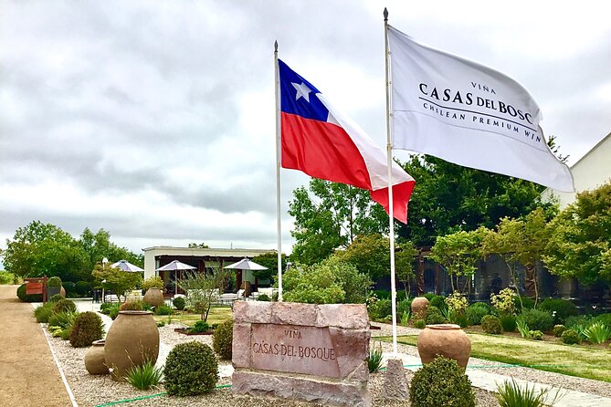 From Valparaiso:Taste 10 Types of Wine in 3 Casablanca’s Vineyard - What the guide can add to the experience