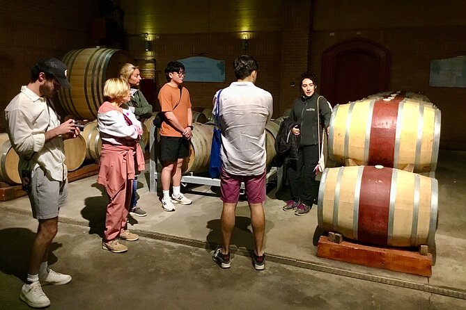 From Valparaiso:Taste 10 Types of Wine in 3 Casablanca’s Vineyard - The day moves at a steady pace