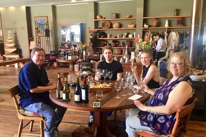 From Valparaiso:Taste 10 Types of Wine in 3 Casablanca’s Vineyard - Emiliana adds alpacas and a lesson in organic farming