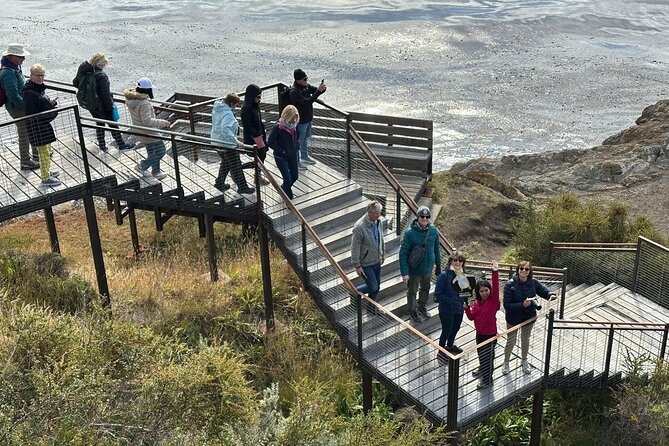 Fuerte Bulnes Shore Tour for Cruisers in Punta Arenas - Why Fuerte Bulnes is worth leaving Punta Arenas
