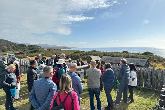 Fuerte Bulnes Shore Tour for Cruisers in Punta Arenas - The port meeting point and the cruise-day timing