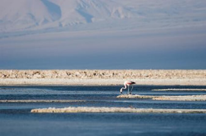 Full Atacama - SORBAC (private groups) - Key points to know before booking