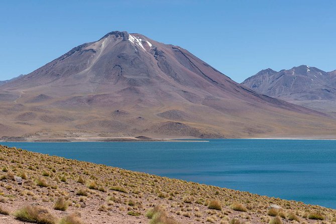 Full day Altiplanic Lagoons + Red stones viewpoint + Salar de Atacama - Key Points Before You Book