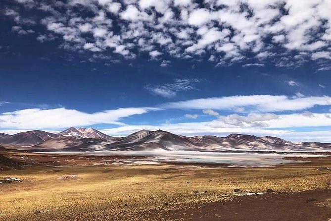 Full day Altiplanic Lagoons + Red stones viewpoint + Salar de Atacama - Chaxa Lagoon and Three Kinds of Flamingo