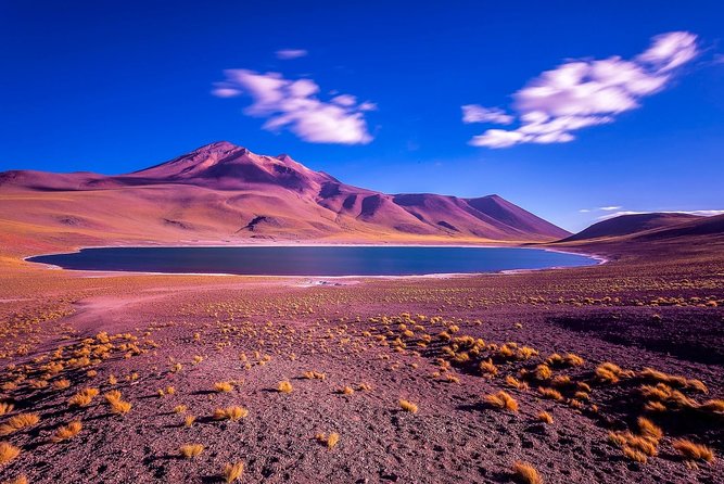 Full day Altiplanic Lagoons + Red stones viewpoint + Salar de Atacama - What the $159 Price Really Covers