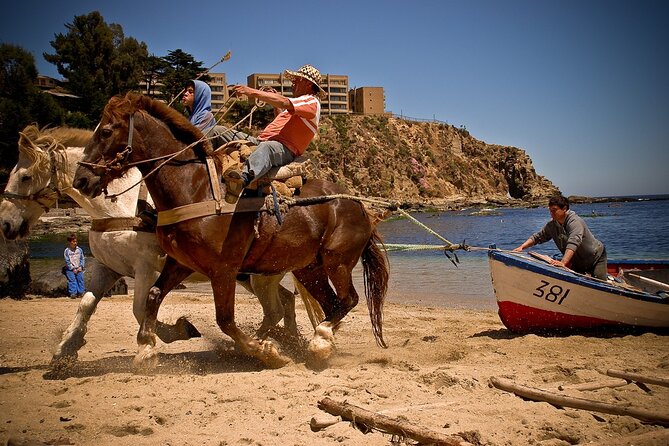 Full-Day Coastal Escape: Beaches, Penguins & Seaside Towns - Horcón brings you close to working coastal life