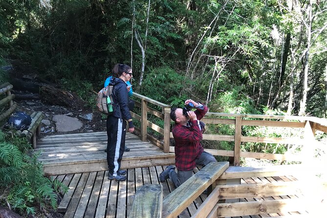 Full day HIKE Alerce Andino Parque Nacional. - What the $200 price really covers