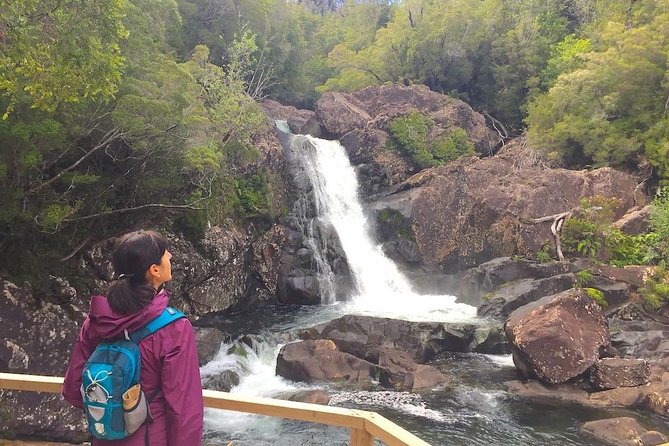 Full day HIKE Alerce Andino Parque Nacional. - Should you book the Alerce Andino hike?