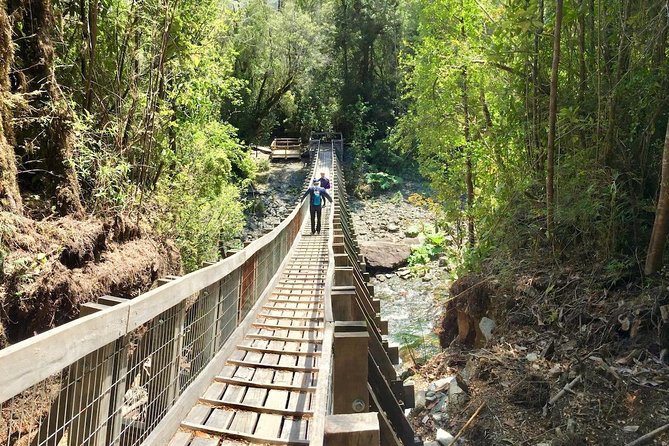 Full day HIKE Alerce Andino Parque Nacional. - Maria and the value of a private guide