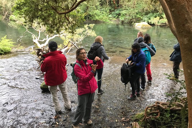 Full day Hiking Solitario trail, Osorno Petrohue Falls - Key points at a glance
