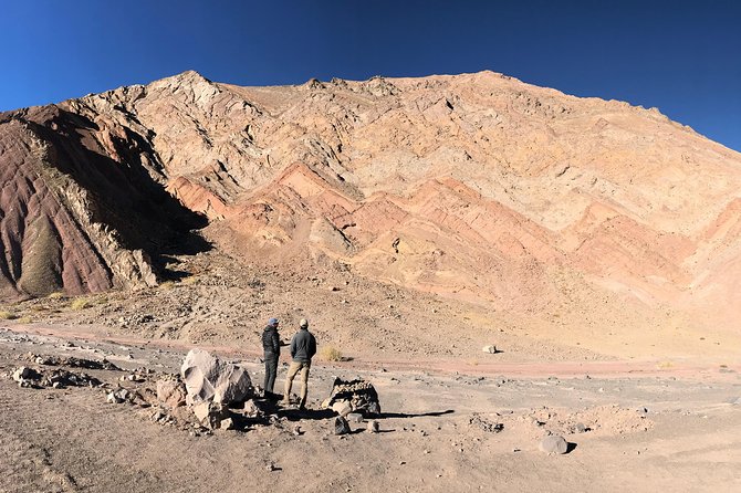 Full Day Nevado Tres Cruces National Park - What the $590 price really buys
