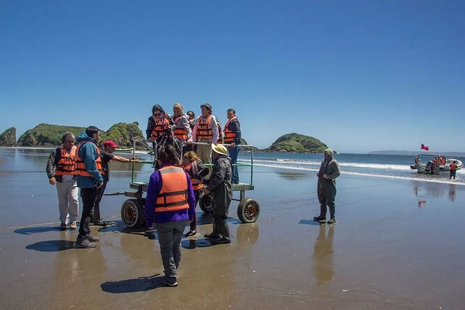 Full Day on Chiloé Island Visiting Penguins in Puñihuil - Key points before you book