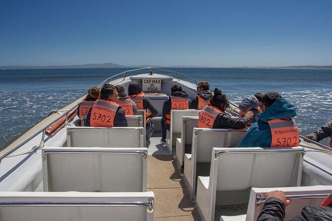 Full Day on Chiloé Island Visiting Penguins in Puñihuil - What the $71 price really covers