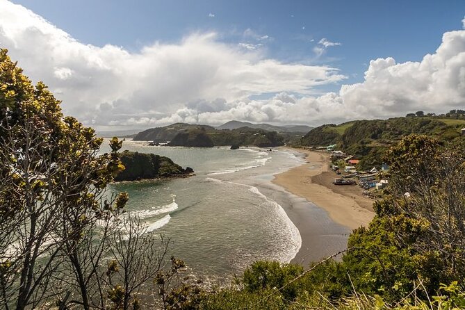 Full Day on Chiloé Island Visiting Penguins in Puñihuil - Caulín Beach and the island’s birdlife