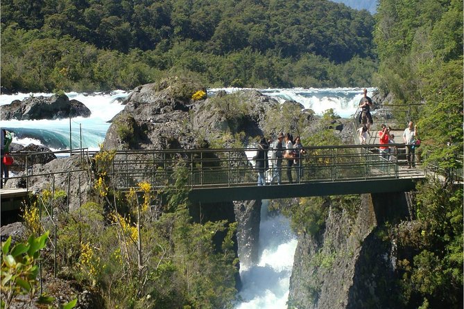 Full-Day Osorno Volcano and Petrohue Falls Small-Group Tour - Why this makes a strong Puerto Varas day trip
