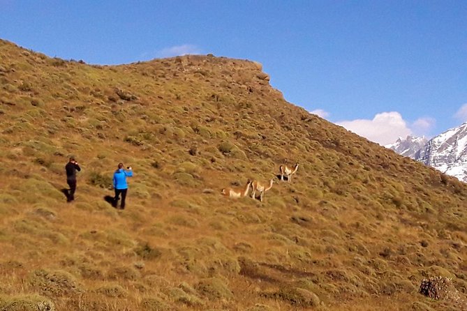 Full Day Parque Torres del Paine (1 to 4 Passengers, Private) - The return route through three more lakes