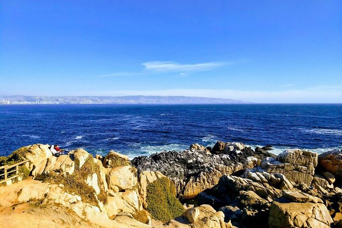 Full-Day Private Bike Tour of Concon Viña del Mar and Valparaiso from Santiago - Walking the Concón sand dunes
