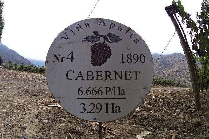 Full Day Private Colchagua Wine Tour from Santiago - Clos Apalta and Vines Planted in 1907