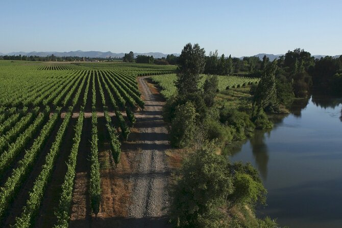 Full Day Private Colchagua Wine Tour from Santiago - Neyen de Apalta: Old-World Character in the New World