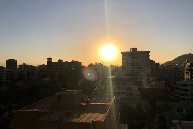 Full-Day Private Guided Tour in Santiago City - Thirty minutes around La Moneda