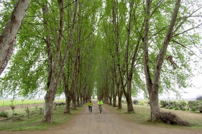 Full-Day Private Maipo Valley Bike Tour and Wine Tasting from Santiago - Cycling through town, river country, and vineyards