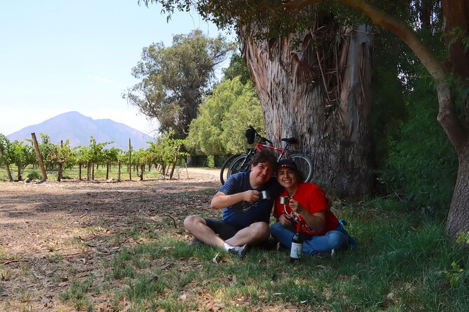 Full-Day Private Maipo Valley Bike Tour and Wine Tasting from Santiago - What $495 per person really buys