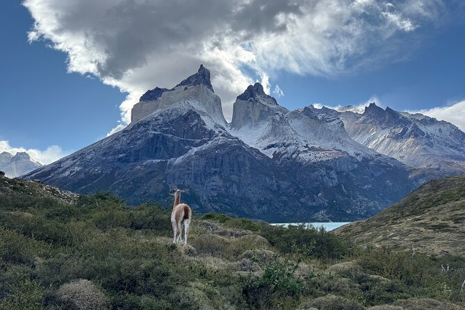 Full Day Private Torres del Paine - Nordenskjold Lake and the Paine Horns