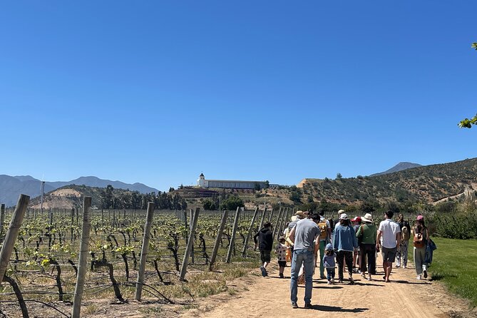 Full Day Private Tour in Casablanca Valparaíso and Viña del Mar - Key points at a glance