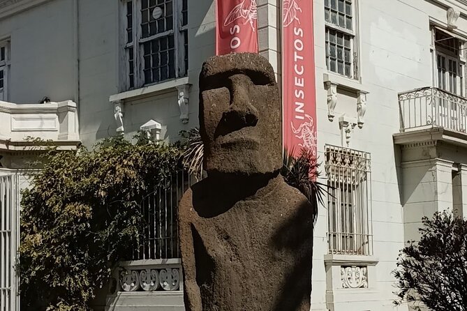 Full Day Private Tour in Casablanca Valparaíso and Viña del Mar - Timing, meeting point, and physical demands