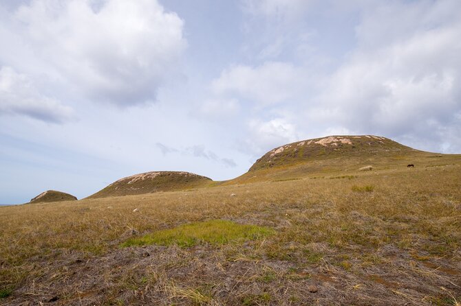 Full day Private Tour: Poike Walk through the abandoned area - Key points before you book