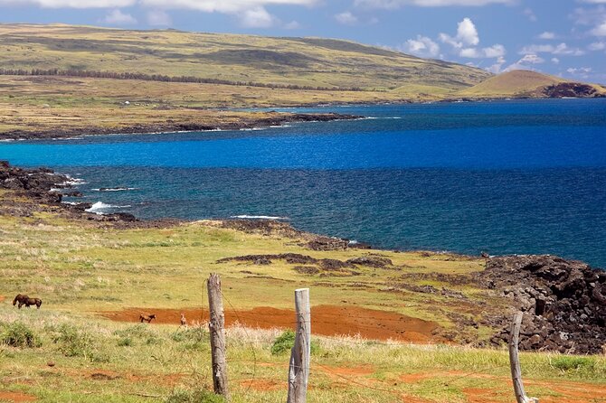 Full day Private Tour: Poike Walk through the abandoned area - Why Poike feels different from the usual Rapa Nui visit