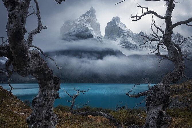 Full Day Private Tour to Torres del Paine - Laguna Amarga saves the famous towers for last