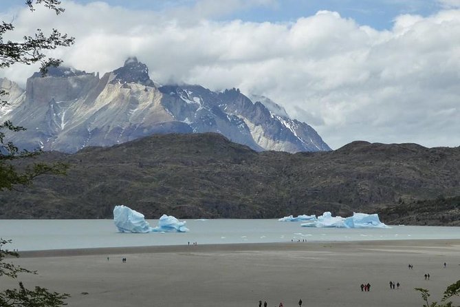 Full Day Torres del Paine, From Punta Arenas (Private Tours) - The road through Puerto Natales