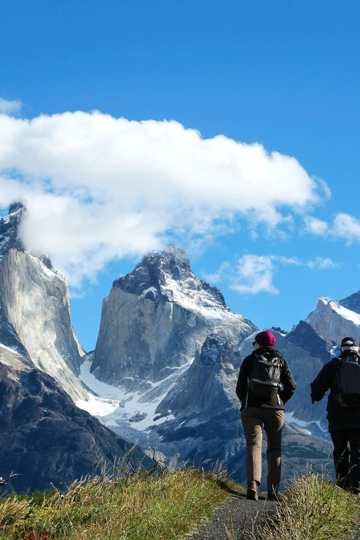 Full-Day Torres del Paine National Park from El Calafate - Nordenskjöld, Laguna Amarga, and Sarmiento