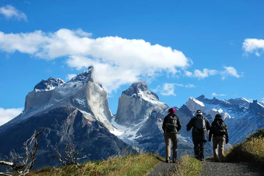 Full-Day Torres del Paine National Park from El Calafate - Crossing From Argentina Into Chile