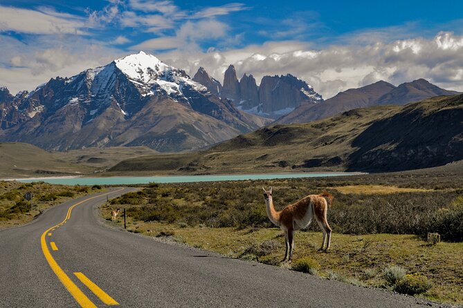 Full Day Torres del Paine Private - Cueva del Milodón Grande: a different second stop