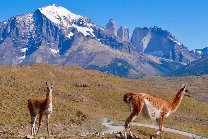 Full Day Torres del Paine Tour - Milodon Cave: Patagonia Before the Park