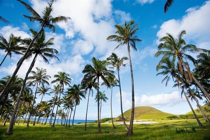 Full day tour - DREAM - Ahu Te Pito Kura and the Longest Moai