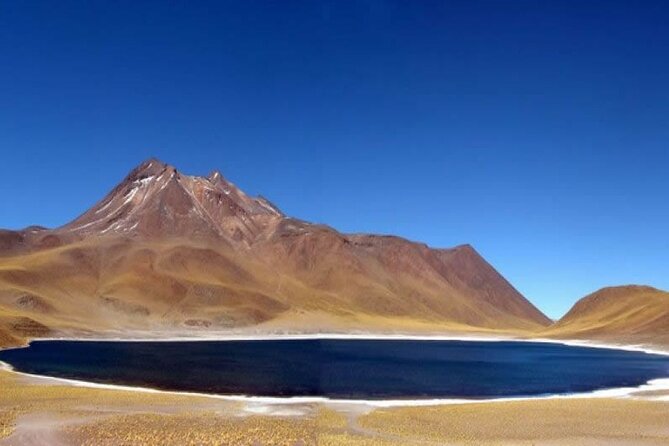 Full day tour to Piedras Rojas with Lunch - Laguna Chaxa and the Salar de Atacama