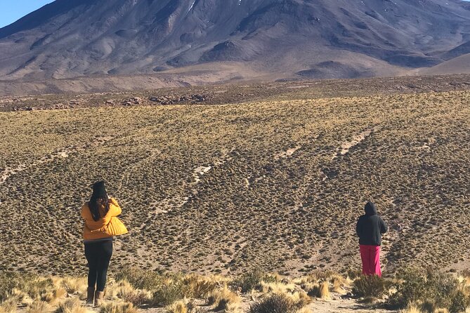 Full Day Tour to Ruta de los Salares - Salar de Quisquiro and the reward of fewer crowds