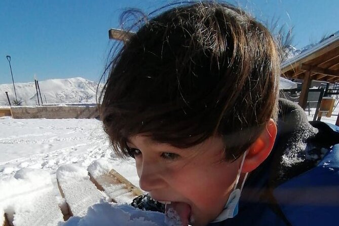 Full Day Tour to Valle Nevado and Panoramic Farellones - Communication and reliability concerns