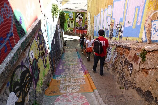 Full day Tour Viña del Mar & Valparaiso Highlights from Santiago - Transport, group size, and the real value of $90
