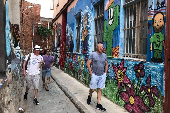 Full day Tour Viña del Mar & Valparaiso Highlights from Santiago - Valparaiso: colorful hills and working-port character