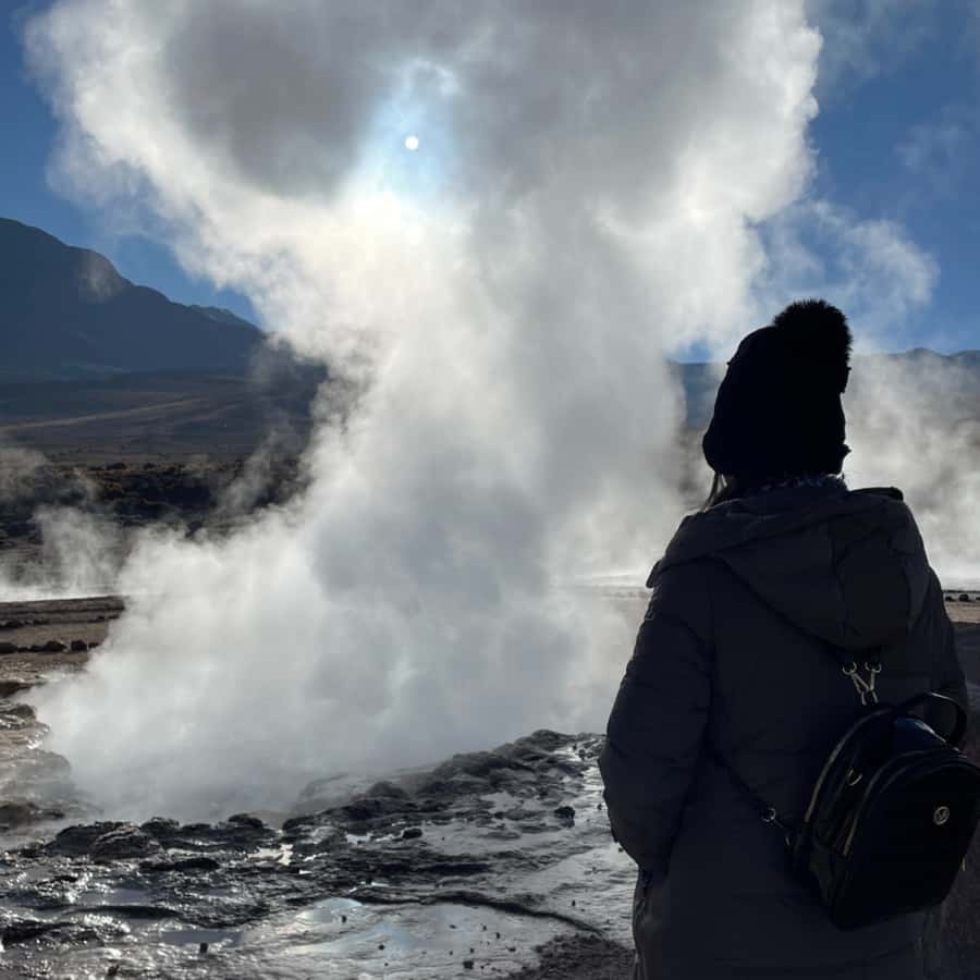 Geysers del Tatio: Sunrise and breakfast in Atacama - Putana River plants and high-altitude wetlands