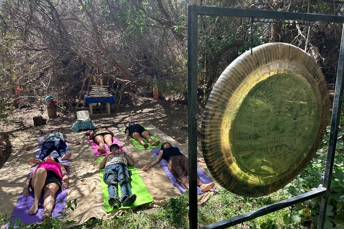 Gong Bath in the Magic Forest in San Pedro de Atacama - A green corner of San Pedro at Toconao 568