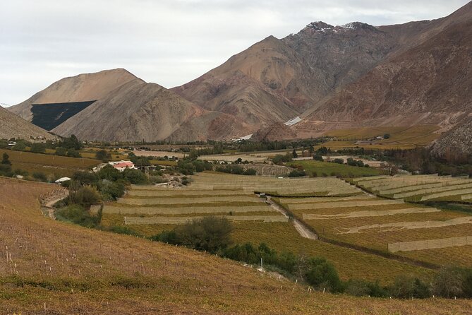 Grand Tour Elqui Valley Heavenly Paradise of Sacred Mountains - Key points before you book