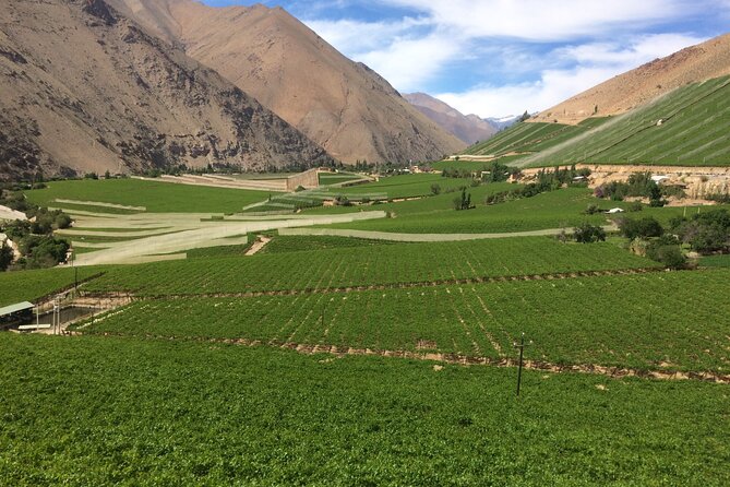 Grand Tour Elqui Valley Heavenly Paradise of Sacred Mountains - Why the Elqui Valley makes a good day trip from La Serena
