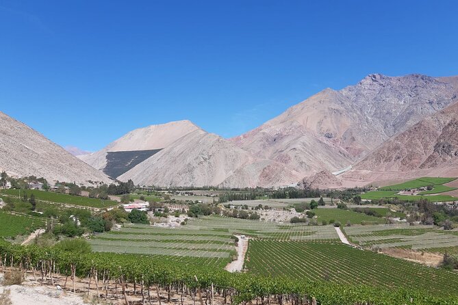 Grand Tour Elqui Valley Heavenly Paradise of Sacred Mountains - Vina Falernia and the flavors of the valley