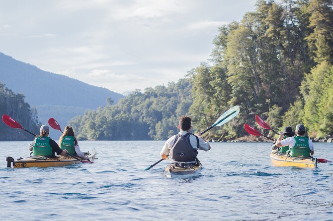 Guided Half Day Kayak Tour with Picnic in Villa la Angostura - Key details before you paddle
